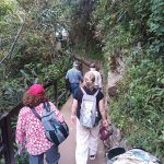 IMG_20241104_141913_416.jpg IMG_20241104_141913_416.jpg