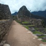 IMG_20241104_125343_542.jpg IMG_20241104_125343_542.jpg