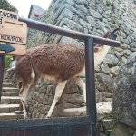 IMG_20241104_122355_148.jpg IMG_20241104_122355_148.jpg