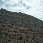 IMG_20241104_123250_718.jpg IMG_20241104_123250_718.jpg