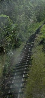 Screenshot_20241210_200719_Gallery_copy_348x746.jpg Screenshot_20241210_200719_Gallery_copy_348x746.jpg