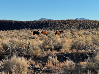 AP1GczMhw7hnFySd2OXIoaVXVKzL5ur3.png AP1GczMhw7hnFySd2OXIoaVXVKzL5ur3.png