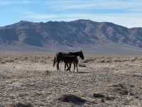 AP1GczM5wjpp9ss1C4dSlShhLZ-8vhGP (1).jpg AP1GczM5wjpp9ss1C4dSlShhLZ-8vhGP (1).jpg