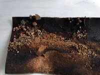 IMG_20241216_143334526 copy.jpg IMG_20241216_143334526 copy.jpg