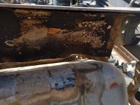 IMG_20241216_142931053 copy.jpg