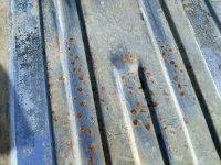 IMG_20241216_152351472 copy.jpg IMG_20241216_152351472 copy.jpg