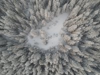 DJI_0455.jpg