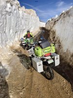 IMG_7668.jpeg IMG_7668.jpeg