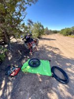 IMG_7673.jpeg IMG_7673.jpeg