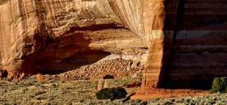 20241211_142932_copy_1200x560.jpg 20241211_142932_copy_1200x560.jpg