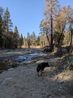 PXL_20250102_212607789.MP.jpg PXL_20250102_212607789.MP.jpg