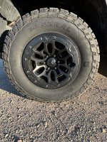 IMG_4997.jpeg IMG_4997.jpeg