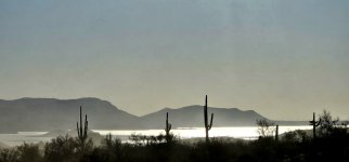 20241219_091244_copy_1200x560.jpg 20241219_091244_copy_1200x560.jpg