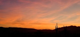 20241217_173803_copy_1200x560.jpg 20241217_173803_copy_1200x560.jpg