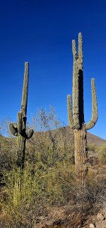 20241219_094030_copy_1200x2570.jpg 20241219_094030_copy_1200x2570.jpg