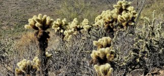 20241219_120416_copy_1200x560.jpg 20241219_120416_copy_1200x560.jpg