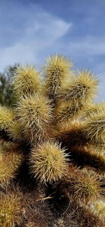 20241226_124450_copy_1200x2570.jpg 20241226_124450_copy_1200x2570.jpg