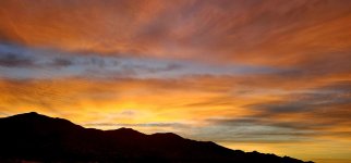 20241227_072119_copy_1600x747.jpg 20241227_072119_copy_1600x747.jpg