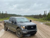 forest road.jpg forest road.jpg