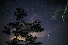 batsto river send-2.jpg