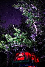 batsto river send-30.jpg