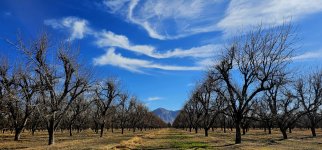 20241227_104613_copy_1600x747.jpg 20241227_104613_copy_1600x747.jpg