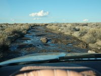 DSC00278er.jpg DSC00278er.jpg