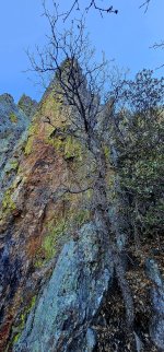 20250105_111007_copy_1200x2570.jpg 20250105_111007_copy_1200x2570.jpg