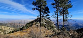 20250105_124049_copy_1200x560.jpg 20250105_124049_copy_1200x560.jpg