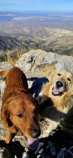 20250105_121353_copy_1200x2570.jpg 20250105_121353_copy_1200x2570.jpg