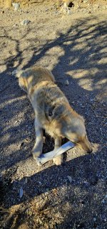 20250104_113011_copy_1200x2570.jpg 20250104_113011_copy_1200x2570.jpg