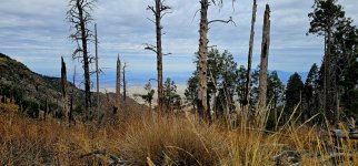 20250107_104031_copy_1600x747.jpg 20250107_104031_copy_1600x747.jpg