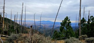 20250107_104026_copy_1600x747.jpg 20250107_104026_copy_1600x747.jpg