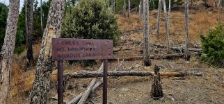 20250107_104005_copy_1600x747.jpg 20250107_104005_copy_1600x747.jpg