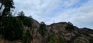 20250107_103219_copy_1600x747.jpg 20250107_103219_copy_1600x747.jpg