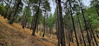 20250107_095214_copy_1600x747.jpg 20250107_095214_copy_1600x747.jpg