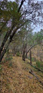 20250107_094947_copy_349x747.jpg 20250107_094947_copy_349x747.jpg