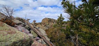 20250107_121941_copy_1600x747.jpg 20250107_121941_copy_1600x747.jpg