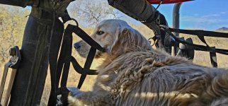 20250107_152244_copy_1600x747.jpg 20250107_152244_copy_1600x747.jpg