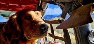 20250107_152312_copy_1600x747.jpg 20250107_152312_copy_1600x747.jpg