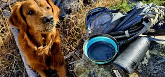 20250107_133423_copy_1600x747.jpg 20250107_133423_copy_1600x747.jpg