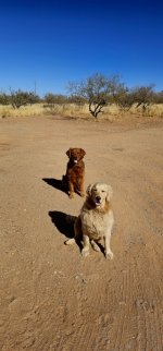 20250104_125524_copy_349x747.jpg 20250104_125524_copy_349x747.jpg