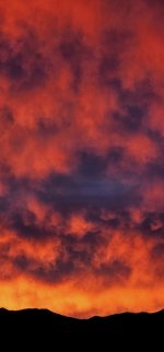 20250107_071817_copy_349x747.jpg 20250107_071817_copy_349x747.jpg