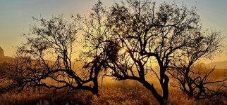 20250106_172021_copy_1600x747.jpg 20250106_172021_copy_1600x747.jpg