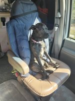 20241201_115529.jpg 20241201_115529.jpg