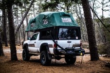 patient the pine-38.jpg