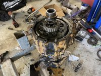 2025-01-27 13.04.13.jpg