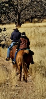 20250114_114015_copy_349x747.jpg 20250114_114015_copy_349x747.jpg