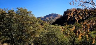 20250115_095231_copy_1600x747.jpg 20250115_095231_copy_1600x747.jpg