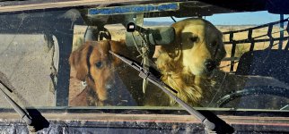 20250117_084741_copy_1600x747.jpg 20250117_084741_copy_1600x747.jpg